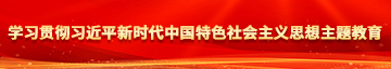 巨屌暴操又紧又嫩小骚逼又长又粗学习贯彻习近平新时代中国特色社会主义思想主题教育